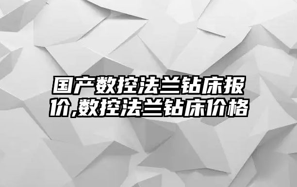 國產數控法蘭鉆床報價,數控法蘭鉆床價格