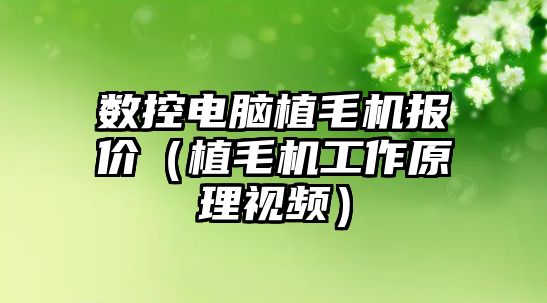 數控電腦植毛機報價（植毛機工作原理視頻）