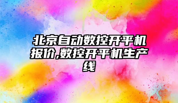 北京自動數控開平機報價,數控開平機生產線