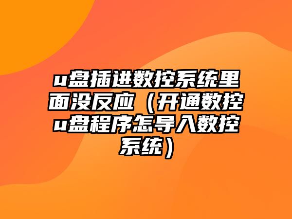 u盤插進數控系統里面沒反應（開通數控u盤程序怎導入數控系統）