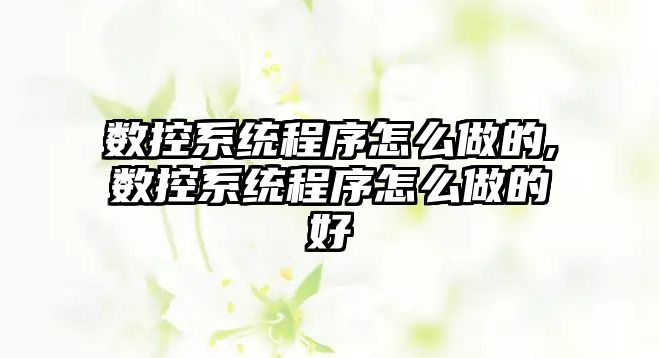 數控系統程序怎么做的,數控系統程序怎么做的好