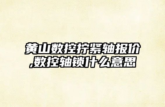 黃山數控擰緊軸報價,數控軸鎖什么意思