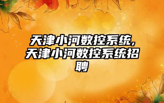 天津小河數控系統,天津小河數控系統招聘