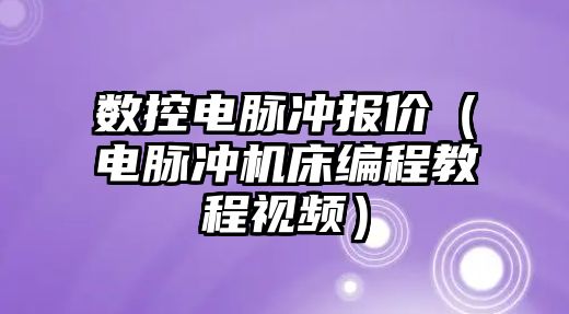 數控電脈沖報價（電脈沖機床編程教程視頻）