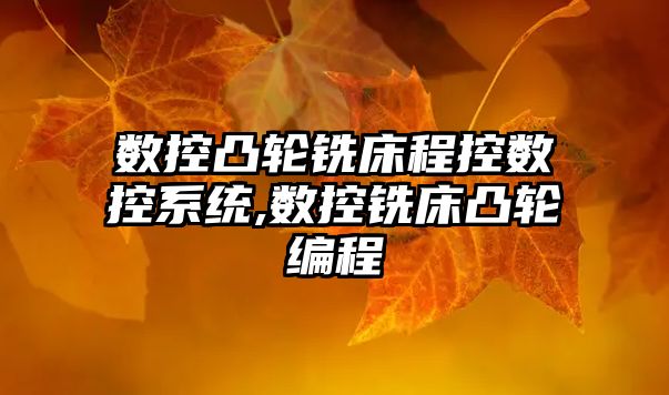 數控凸輪銑床程控數控系統,數控銑床凸輪編程