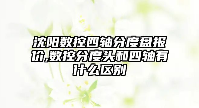 沈陽數控四軸分度盤報價,數控分度頭和四軸有什么區別