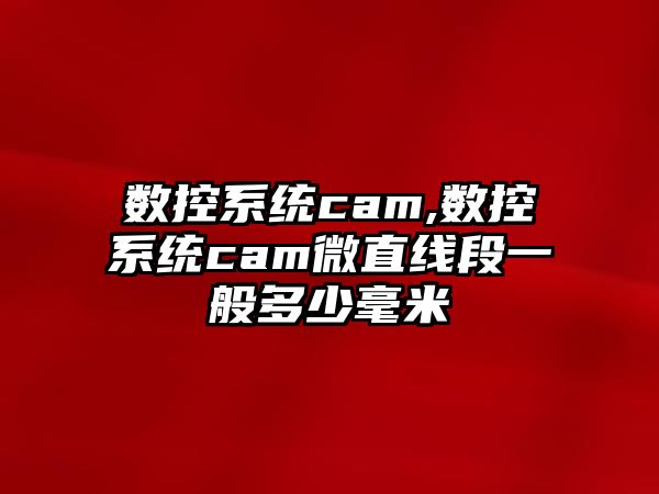 數控系統cam,數控系統cam微直線段一般多少毫米