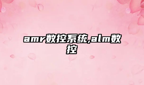 amr數控系統,alm數控