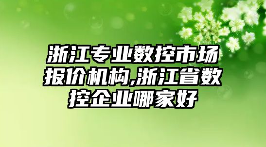 浙江專業數控市場報價機構,浙江省數控企業哪家好