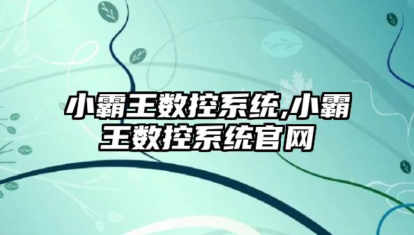 小霸王數控系統,小霸王數控系統官網