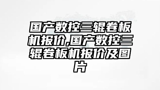 國產數控三輥卷板機報價,國產數控三輥卷板機報價及圖片