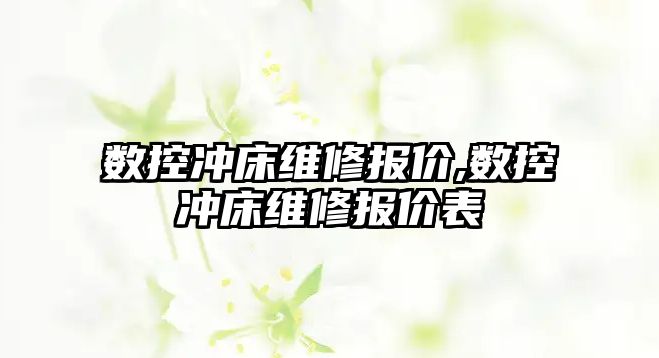 數(shù)控沖床維修報價,數(shù)控沖床維修報價表