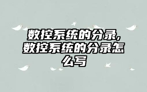 數控系統的分錄,數控系統的分錄怎么寫