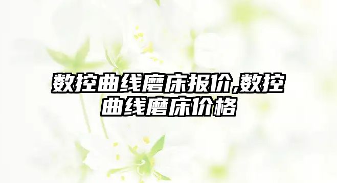 數(shù)控曲線磨床報價,數(shù)控曲線磨床價格