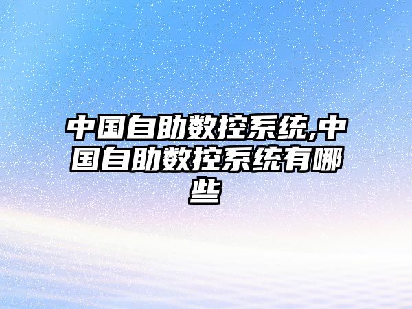 中國自助數控系統,中國自助數控系統有哪些