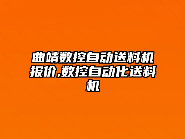 曲靖數控自動送料機報價,數控自動化送料機