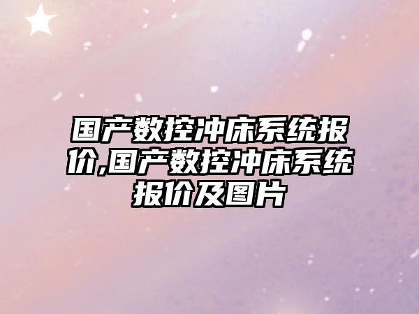 國產數控沖床系統報價,國產數控沖床系統報價及圖片