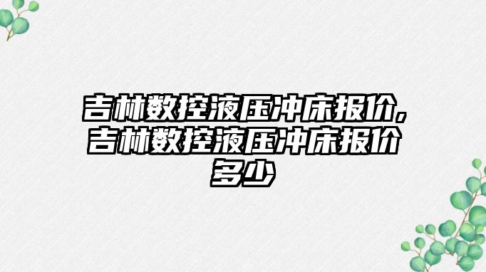 吉林數控液壓沖床報價,吉林數控液壓沖床報價多少