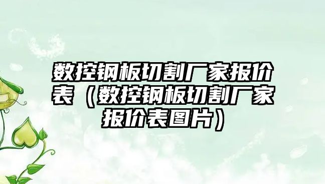 數控鋼板切割廠家報價表（數控鋼板切割廠家報價表圖片）