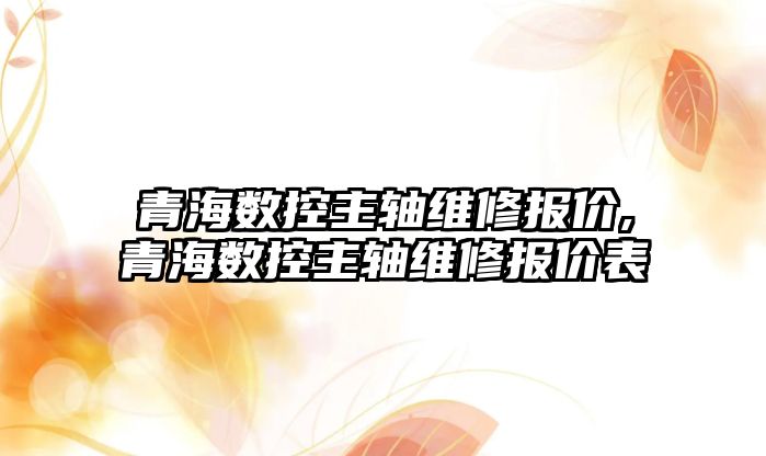 青海數控主軸維修報價,青海數控主軸維修報價表