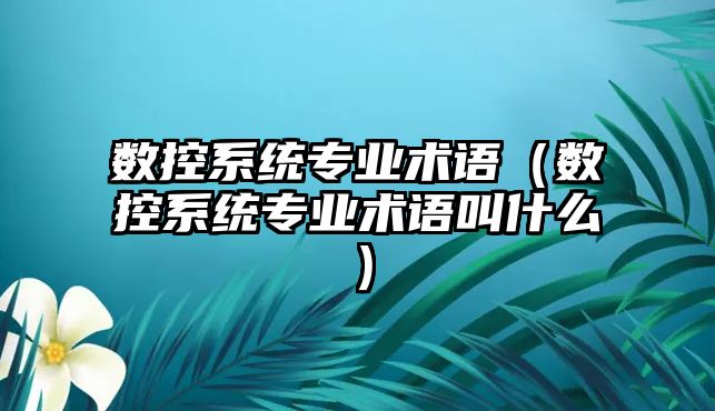 數控系統專業術語（數控系統專業術語叫什么）