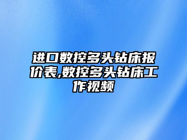 進口數控多頭鉆床報價表,數控多頭鉆床工作視頻