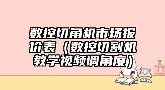 數(shù)控切角機市場報價表（數(shù)控切割機教學視頻調(diào)角度）