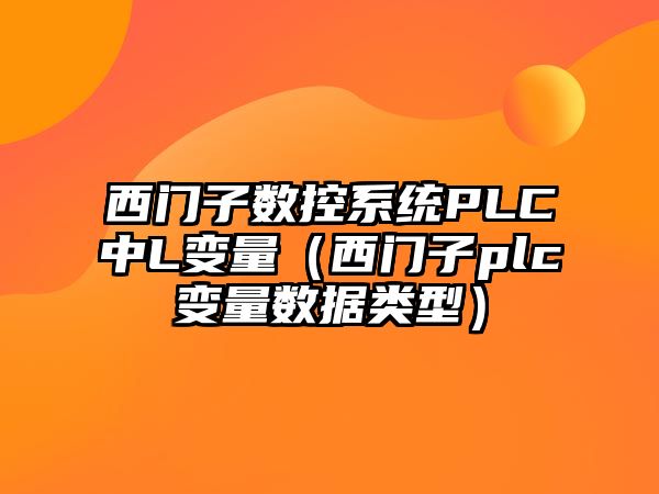 西門子數控系統PLC中L變量（西門子plc變量數據類型）