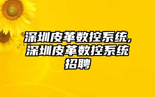 深圳皮革數(shù)控系統(tǒng),深圳皮革數(shù)控系統(tǒng)招聘