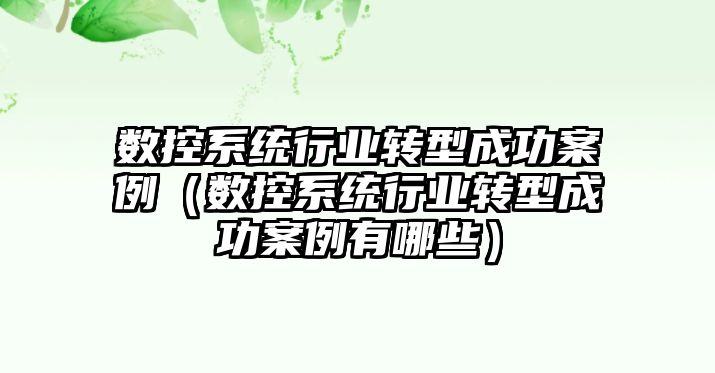 數控系統行業轉型成功案例（數控系統行業轉型成功案例有哪些）