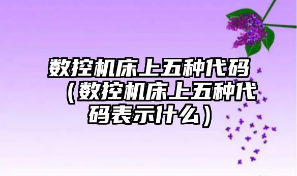 數控機床上五種代碼（數控機床上五種代碼表示什么）