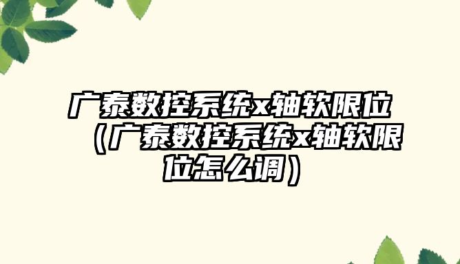 廣泰數控系統x軸軟限位（廣泰數控系統x軸軟限位怎么調）