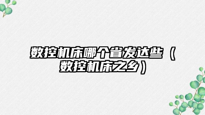 數控機床哪個省發達些（數控機床之鄉）