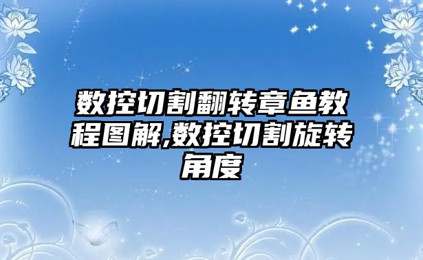 數控切割翻轉章魚教程圖解,數控切割旋轉角度