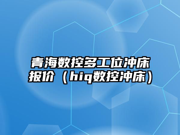 青海數控多工位沖床報價（hiq數控沖床）